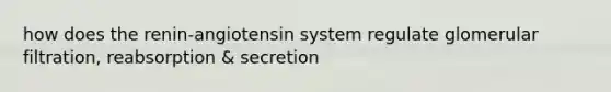 how does the renin-angiotensin system regulate glomerular filtration, reabsorption & secretion