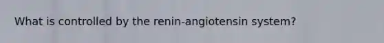 What is controlled by the renin-angiotensin system?