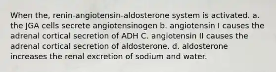 When the, renin-angiotensin-aldosterone system is activated. a. the JGA cells secrete angiotensinogen b. angiotensin I causes the adrenal cortical secretion of ADH C. angiotensin II causes the adrenal cortical secretion of aldosterone. d. aldosterone increases the renal excretion of sodium and water.