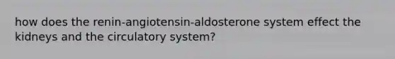 how does the renin-angiotensin-aldosterone system effect the kidneys and the circulatory system?