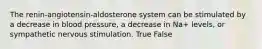 The renin-angiotensin-aldosterone system can be stimulated by a decrease in blood pressure, a decrease in Na+ levels, or sympathetic nervous stimulation. True False