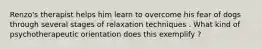 Renzo's therapist helps him learn to overcome his fear of dogs through several stages of relaxation techniques . What kind of psychotherapeutic orientation does this exemplify ?