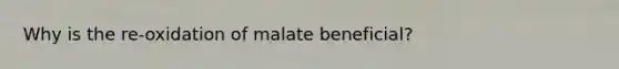 Why is the re-oxidation of malate beneficial?