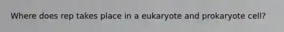 Where does rep takes place in a eukaryote and prokaryote cell?