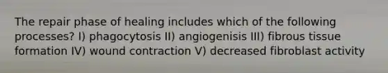 The repair phase of healing includes which of the following processes? I) phagocytosis II) angiogenisis III) fibrous tissue formation IV) wound contraction V) decreased fibroblast activity