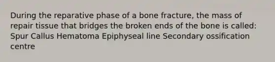 During the reparative phase of a bone fracture, the mass of repair tissue that bridges the broken ends of the bone is called: Spur Callus Hematoma Epiphyseal line Secondary ossification centre