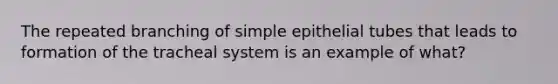 The repeated branching of simple epithelial tubes that leads to formation of the tracheal system is an example of what?