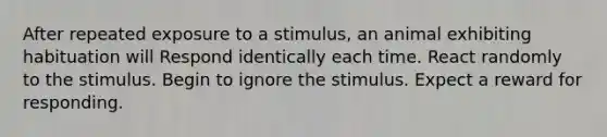 After repeated exposure to a stimulus, an animal exhibiting habituation will Respond identically each time. React randomly to the stimulus. Begin to ignore the stimulus. Expect a reward for responding.