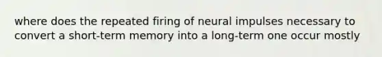 where does the repeated firing of neural impulses necessary to convert a short-term memory into a long-term one occur mostly