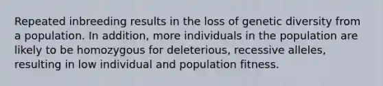 Repeated inbreeding results in the loss of genetic diversity from a population. In addition, more individuals in the population are likely to be homozygous for deleterious, recessive alleles, resulting in low individual and population fitness.