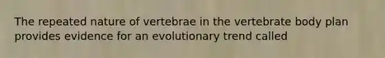 The repeated nature of vertebrae in the vertebrate body plan provides evidence for an evolutionary trend called