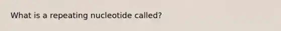 What is a repeating nucleotide called?