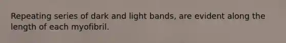 Repeating series of dark and light bands, are evident along the length of each myofibril.