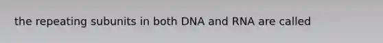 the repeating subunits in both DNA and RNA are called