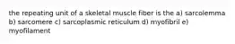 the repeating unit of a skeletal muscle fiber is the a) sarcolemma b) sarcomere c) sarcoplasmic reticulum d) myofibril e) myofilament