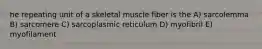 he repeating unit of a skeletal muscle fiber is the A) sarcolemma B) sarcomere C) sarcoplasmic reticulum D) myofibril E) myofilament