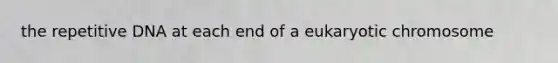 the repetitive DNA at each end of a eukaryotic chromosome
