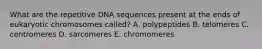 What are the repetitive DNA sequences present at the ends of eukaryotic chromosomes called? A. polypeptides B. telomeres C. centromeres D. sarcomeres E. chromomeres