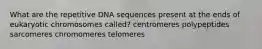 What are the repetitive DNA sequences present at the ends of eukaryotic chromosomes called? centromeres polypeptides sarcomeres chromomeres telomeres