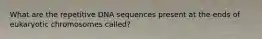 What are the repetitive DNA sequences present at the ends of eukaryotic chromosomes called?