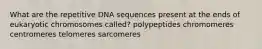 What are the repetitive DNA sequences present at the ends of eukaryotic chromosomes called? polypeptides chromomeres centromeres telomeres sarcomeres