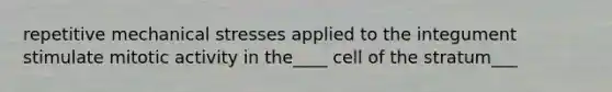 repetitive mechanical stresses applied to the integument stimulate mitotic activity in the____ cell of the stratum___