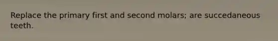 Replace the primary first and second molars; are succedaneous teeth.