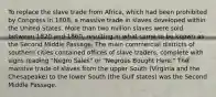 To replace the slave trade from Africa, which had been prohibited by Congress in 1808, a massive trade in slaves developed within the United States. More than two million slaves were sold between 1820 and 1860, resulting in what came to be known as the Second Middle Passage. The main commercial districts of southern cities contained offices of slave traders, complete with signs reading "Negro Sales" or "Negroes Bought Here." The massive trade of slaves from the upper South (Virginia and the Chesapeake) to the lower South (the Gulf states) was the Second Middle Passage.