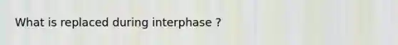 What is replaced during interphase ?