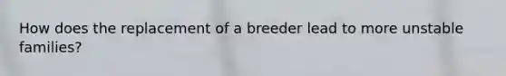 How does the replacement of a breeder lead to more unstable families?