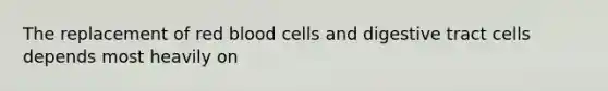 The replacement of red blood cells and digestive tract cells depends most heavily on