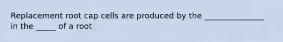 Replacement root cap cells are produced by the _______________ in the _____ of a root