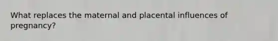 What replaces the maternal and placental influences of pregnancy?