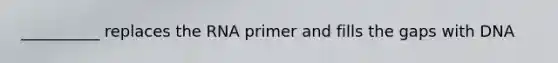 __________ replaces the RNA primer and fills the gaps with DNA