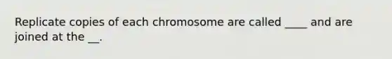 Replicate copies of each chromosome are called ____ and are joined at the __.