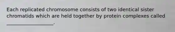 Each replicated chromosome consists of two identical sister chromatids which are held together by protein complexes called ___________________.