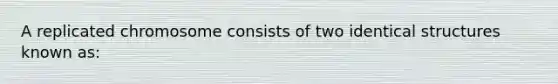 A replicated chromosome consists of two identical structures known as: