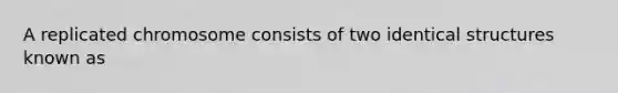 A replicated chromosome consists of two identical structures known as