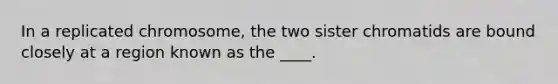 In a replicated chromosome, the two sister chromatids are bound closely at a region known as the ____.