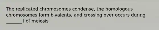 The replicated chromosomes condense, the homologous chromosomes form bivalents, and crossing over occurs during _______ I of meiosis