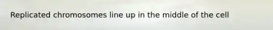 Replicated chromosomes line up in the middle of the cell