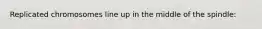 Replicated chromosomes line up in the middle of the spindle: