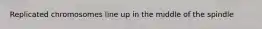 Replicated chromosomes line up in the middle of the spindle