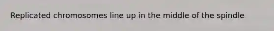 Replicated chromosomes line up in the middle of the spindle