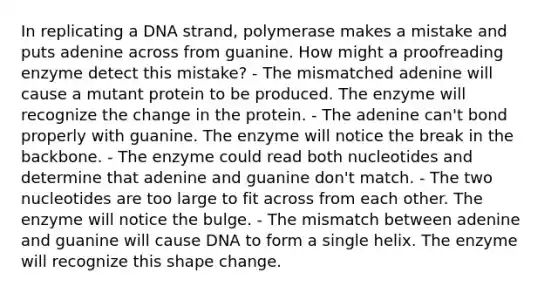 In replicating a DNA strand, polymerase makes a mistake and puts adenine across from guanine. How might a proofreading enzyme detect this mistake? - The mismatched adenine will cause a mutant protein to be produced. The enzyme will recognize the change in the protein. - The adenine can't bond properly with guanine. The enzyme will notice the break in the backbone. - The enzyme could read both nucleotides and determine that adenine and guanine don't match. - The two nucleotides are too large to fit across from each other. The enzyme will notice the bulge. - The mismatch between adenine and guanine will cause DNA to form a single helix. The enzyme will recognize this shape change.