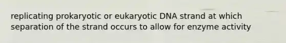 replicating prokaryotic or eukaryotic DNA strand at which separation of the strand occurs to allow for enzyme activity