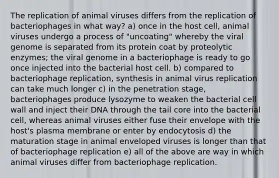 The replication of animal viruses differs from the replication of bacteriophages in what way? a) once in the host cell, animal viruses undergo a process of "uncoating" whereby the viral genome is separated from its protein coat by proteolytic enzymes; the viral genome in a bacteriophage is ready to go once injected into the bacterial host cell. b) compared to bacteriophage replication, synthesis in animal virus replication can take much longer c) in the penetration stage, bacteriophages produce lysozyme to weaken the bacterial cell wall and inject their DNA through the tail core into the bacterial cell, whereas animal viruses either fuse their envelope with the host's plasma membrane or enter by endocytosis d) the maturation stage in animal enveloped viruses is longer than that of bacteriophage replication e) all of the above are way in which animal viruses differ from bacteriophage replication.