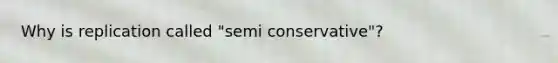 Why is replication called "semi conservative"?