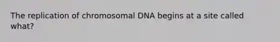 The replication of chromosomal DNA begins at a site called what?