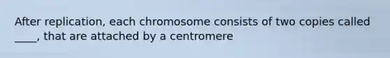 After replication, each chromosome consists of two copies called ____, that are attached by a centromere